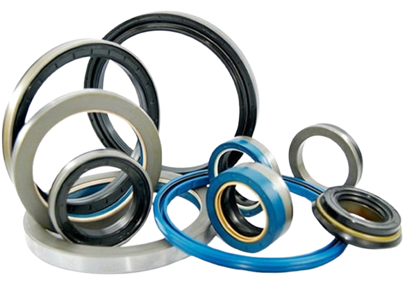 Oil Seals